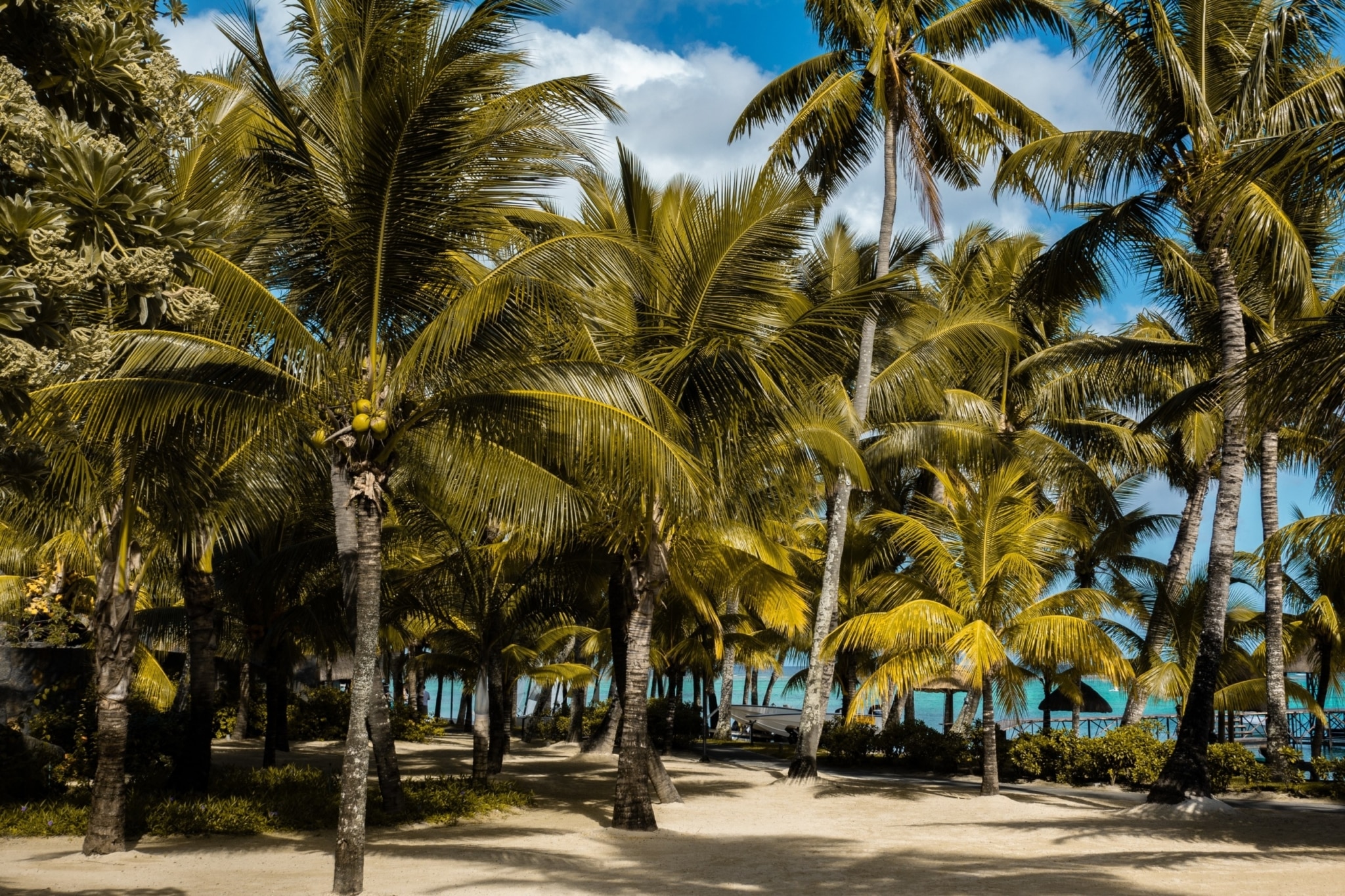 être freelance à l'île maurice