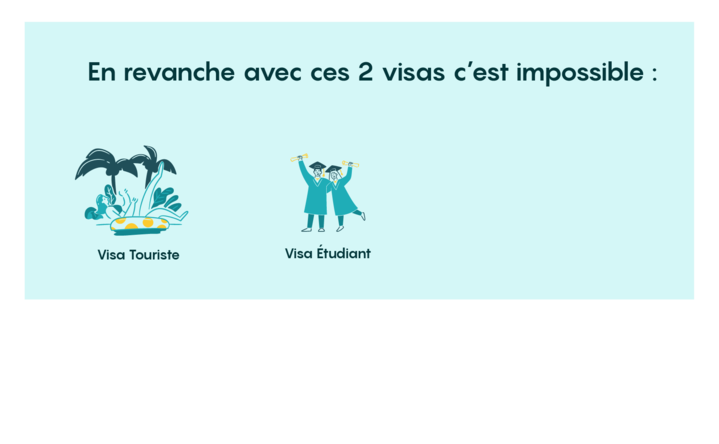 Permis importation d'animaux Maurice