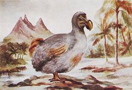 faune et flore de l'ile Maurice