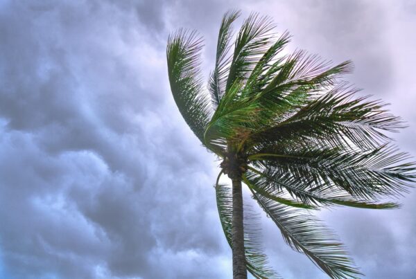 cyclone-maurice cyclone - dangers naturels à Maurice