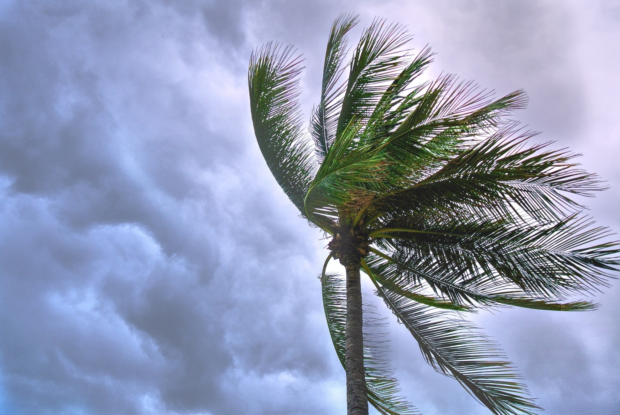 cyclone - dangers naturels à Maurice