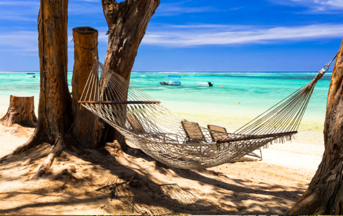 Visa Premium pour Maurice_Smarttraveller.mu
